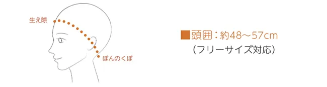 プティカットボブ hf1842 対応サイズ