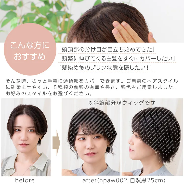 人毛100％ 総手植え ナチュレトップヘアピース 選べる4タイプ メイン3