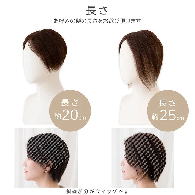 hpaw001商品詳細8