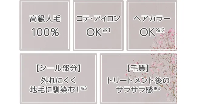 人毛シールエクステ50cm10本分(5シート)  hpex01-50 商品詳細15