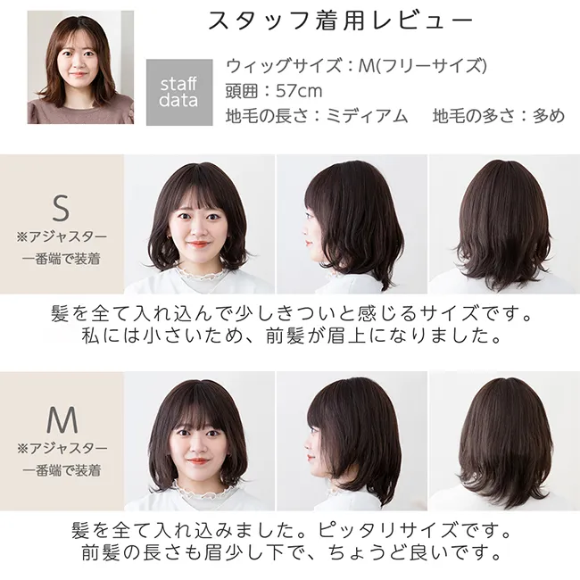 サイズ比較