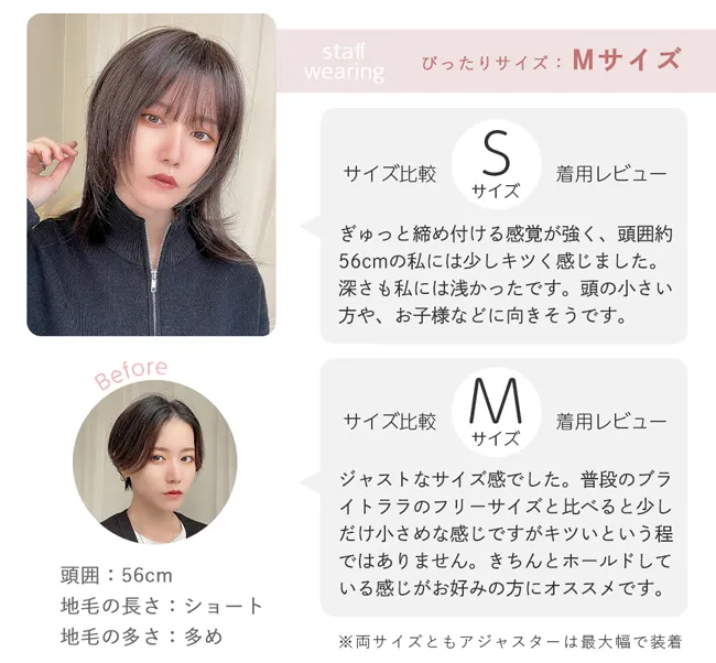サイズ比較