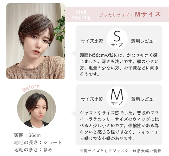 サイズ比較